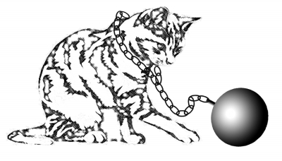 1636287358434161.jpg 猫.jpg
