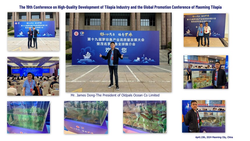 Maoming Conference-OLDPALS.jpg