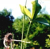 1658978255263060.png 5.png