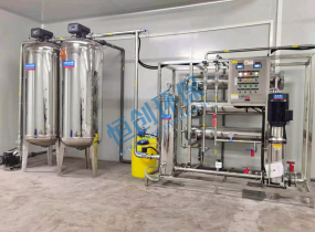 河南某食品公司3m3/h反滲透純水設(shè)備