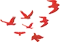 101.jpg