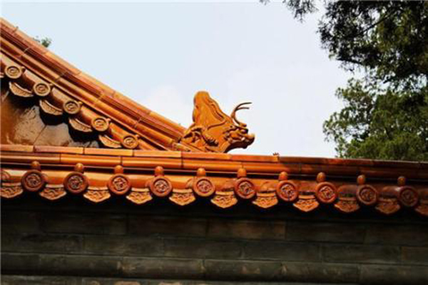 1630169177516585.jpg 1598948453.jpg