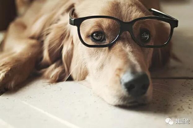 1627270884851073.jpg 20180827101786778677.jpg