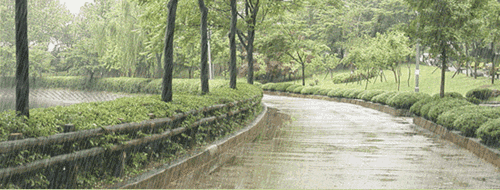 1627288340328922.gif 0001.gif