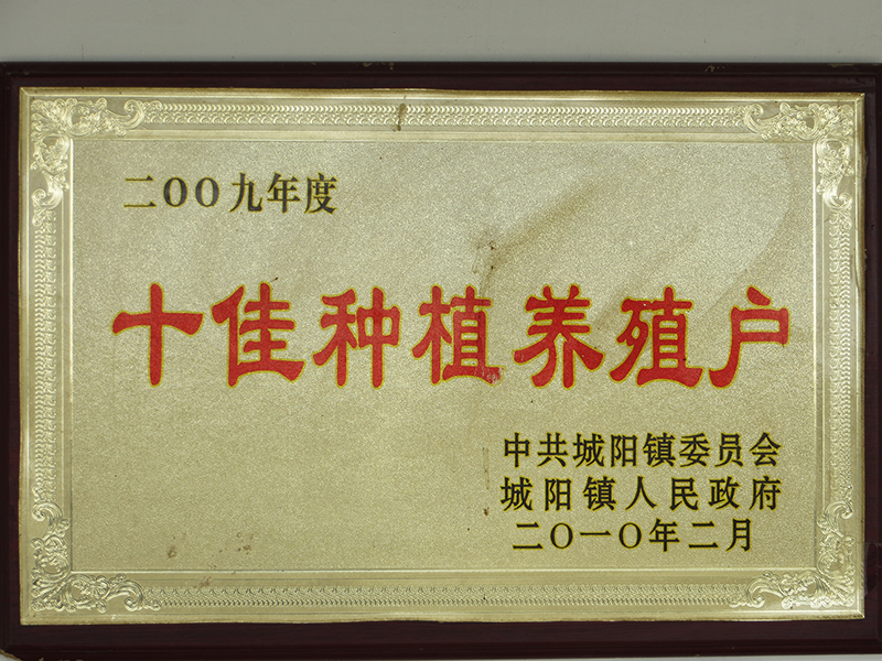2009ʮֲֳ