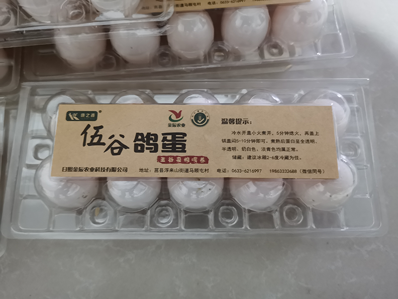 ȸ뵰