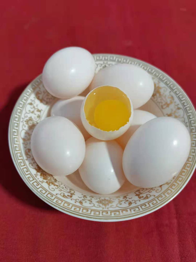 ȸ뵰