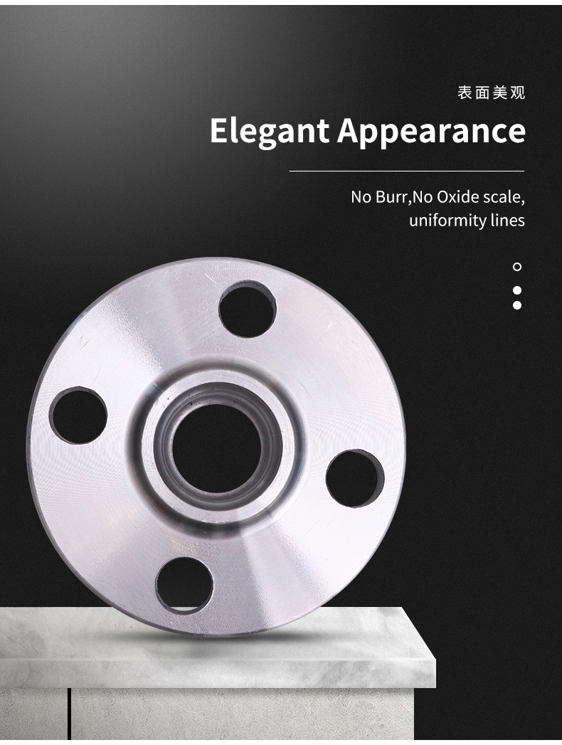 Slip On Flange 
