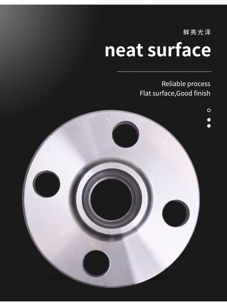 Slip On Flange 