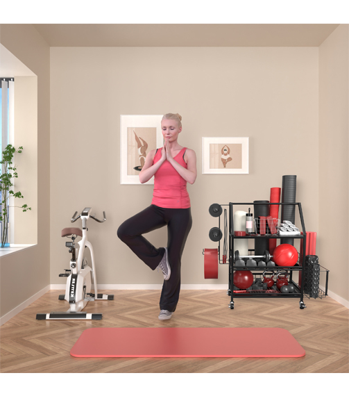 Weight Rack for Home Gym5