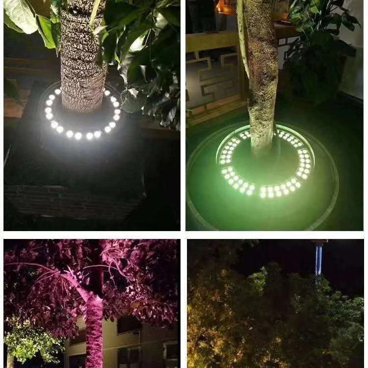 1661825417759892.jpg