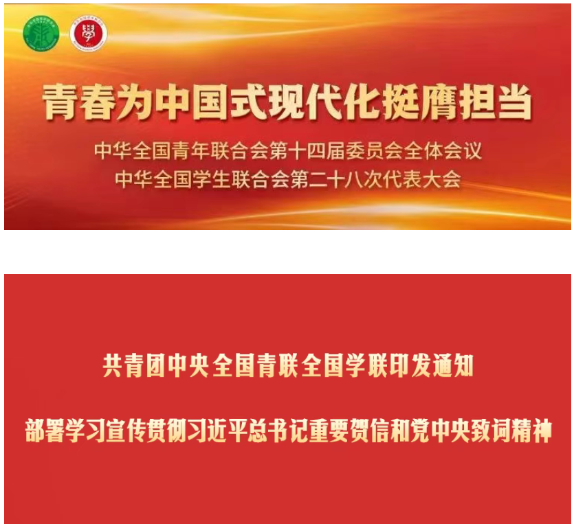 1763617819195500.png image.png