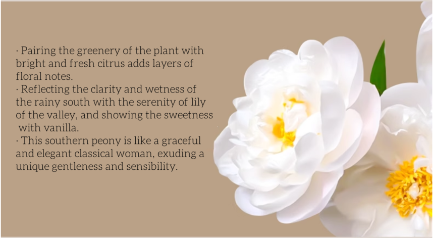 1735287606879125.png 牡丹_副本.png