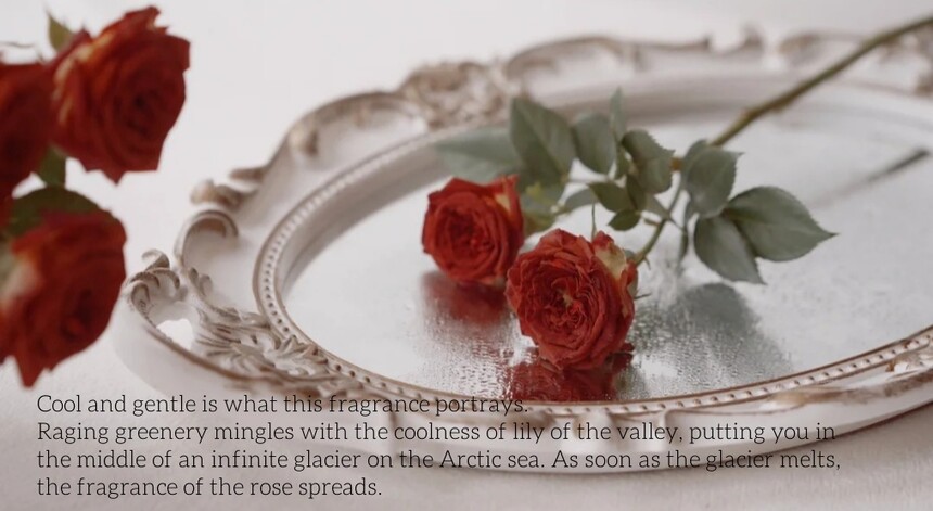 1735288322225612.jpg 玫瑰拍照|法式复古红调色🥀太有氛围感了!_4_晚夏_来自小红书网页版_副本.jpg