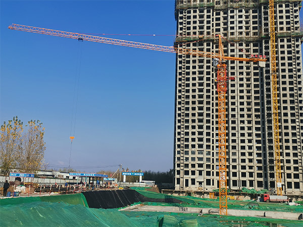 ���Fʮ���Ĳ����Ŀ