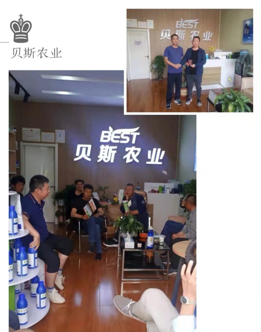 1635479022506978.jpg fdcce73ab19bf37f93c6ad2b146bb75.jpg