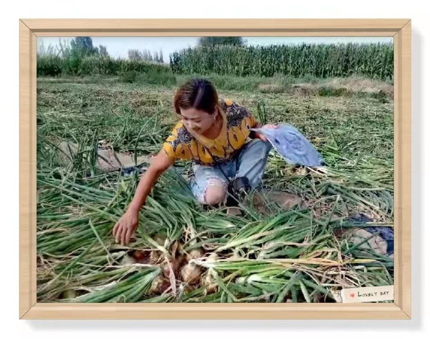 1635735439269740.jpg a790ca613f592932e18b53d7915ac02.jpg