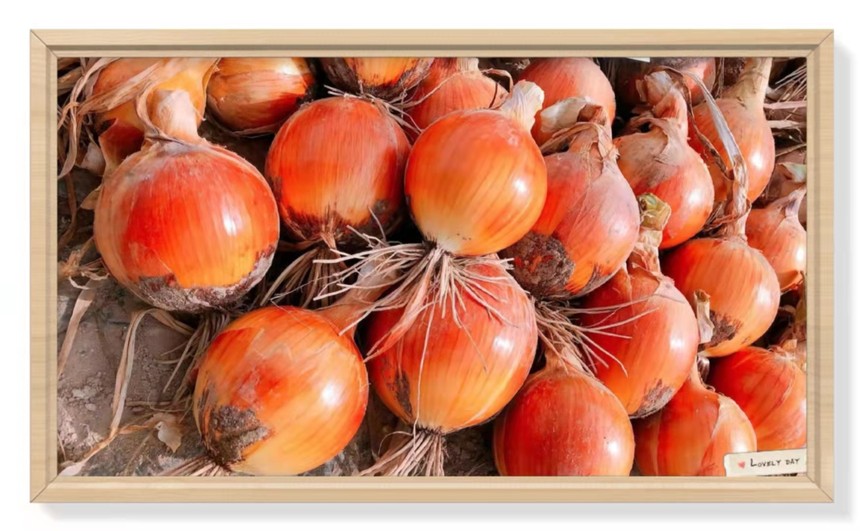 1635735902645279.jpg 10660457d73407e43119265f1d965da.jpg