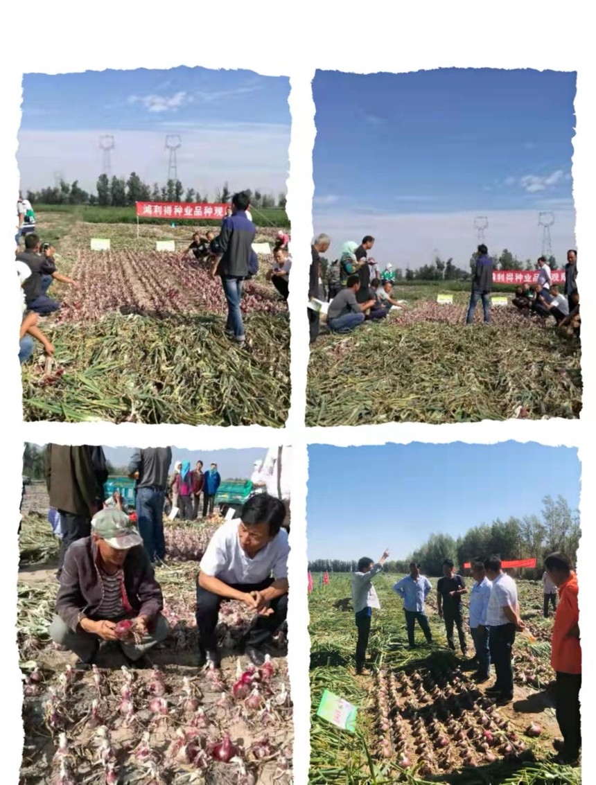 1637728121431741.jpg 3b9d32cc1d95346ce290ecce2cc456f.jpg