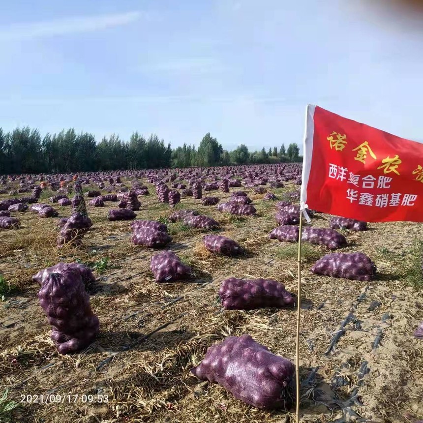 1639554886512741.jpg d5437ec7388bd520591293fba433601.jpg