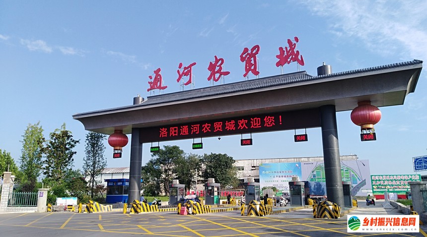 【乡村振兴信息网】隋有回落仓,今有通河城_乡村振兴信息网