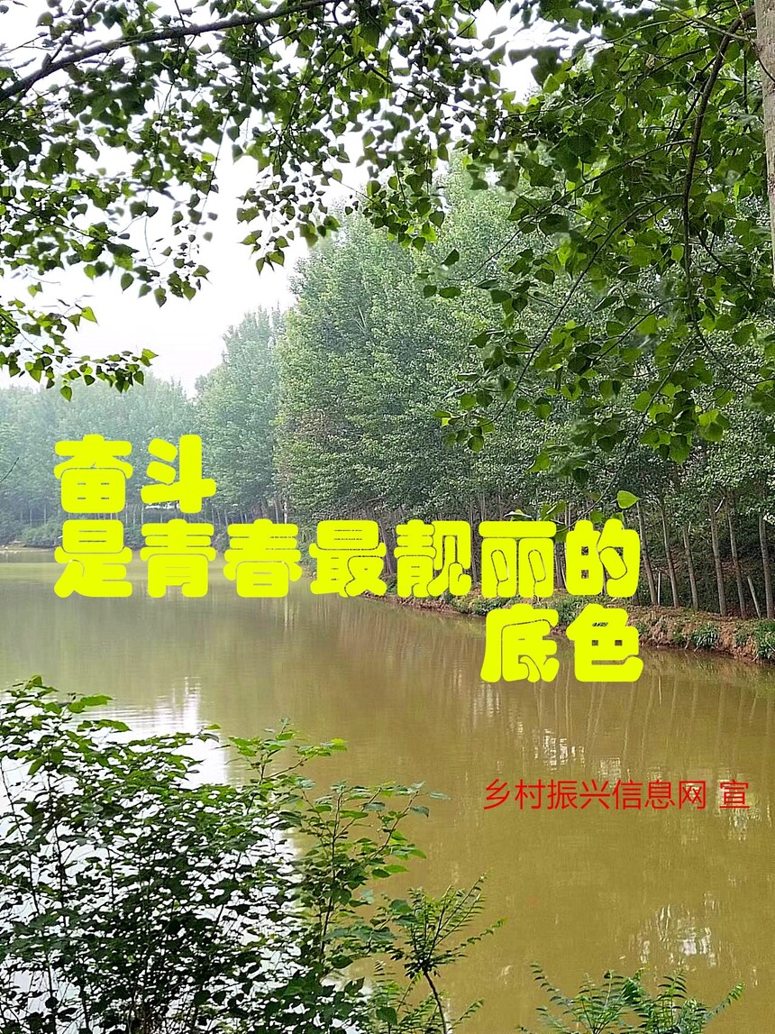 7ec82d6526d29b8df13f7fd25dd884f_.jpg