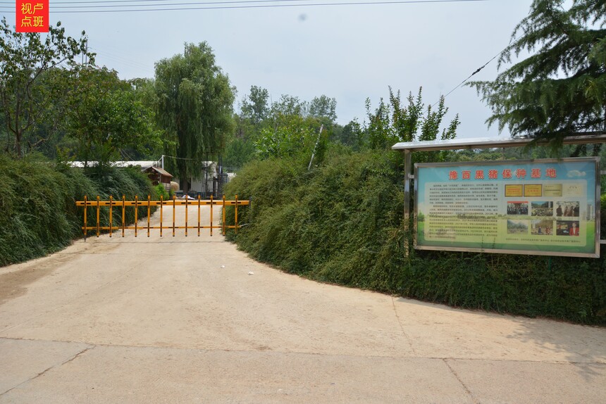 000_8293.JPG