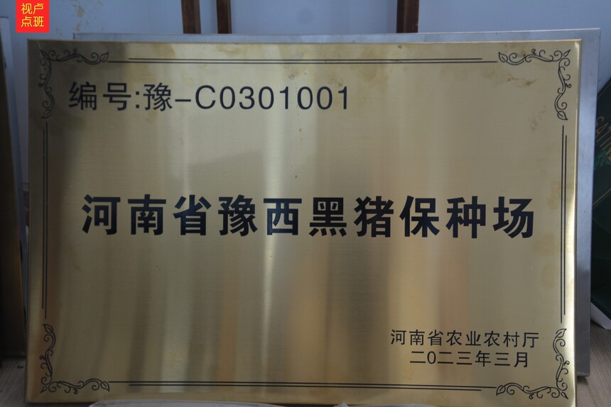 000_8197.JPG