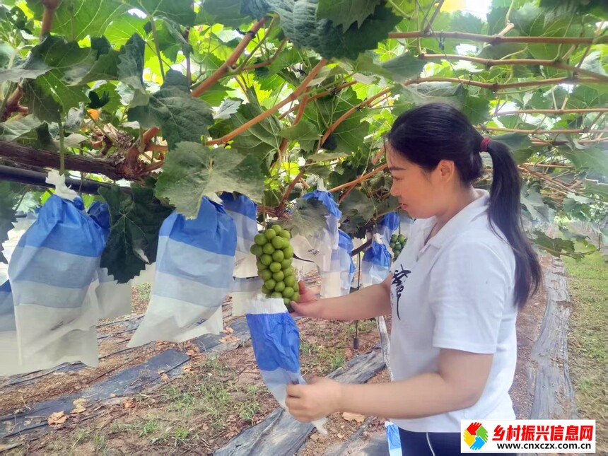 1754962975582728.jpg 443f6e081175e02cae1e53fdf216589.jpg