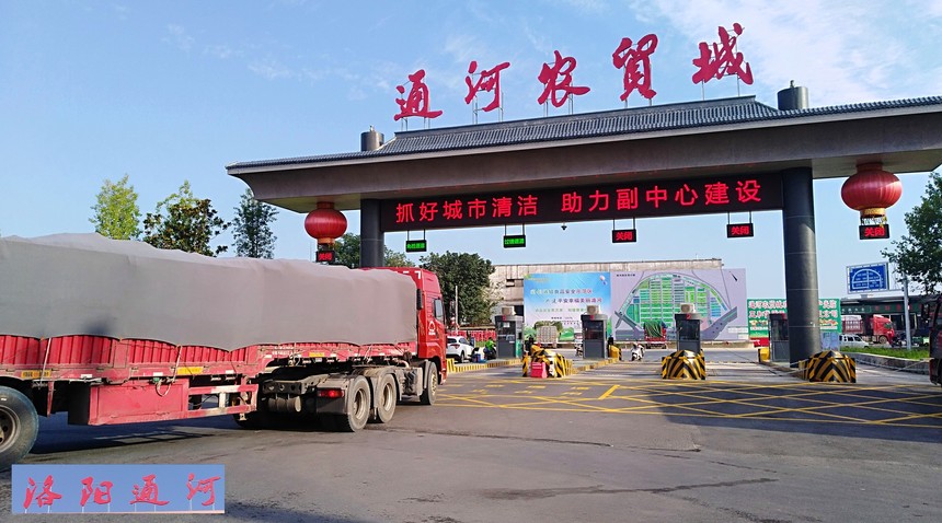 1755330750791934.jpg 1633485960148638.jpg