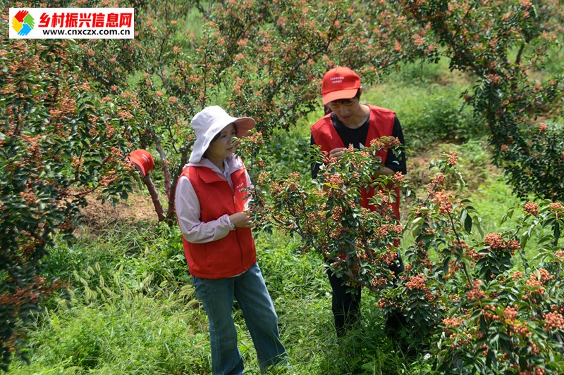 1757544174608826.jpg dde8d11d441e2800732943c3d5d49185.jpg