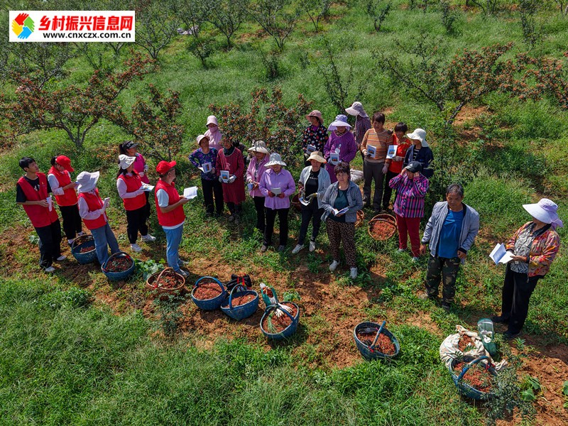 1757544207886674.jpg ef8b5e6cdff553710b74becae8aaeb79.jpg