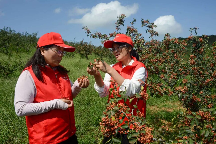 1757549094695508.jpg 7e862bb93db2ca4b8d95f77ba7c66480.jpg