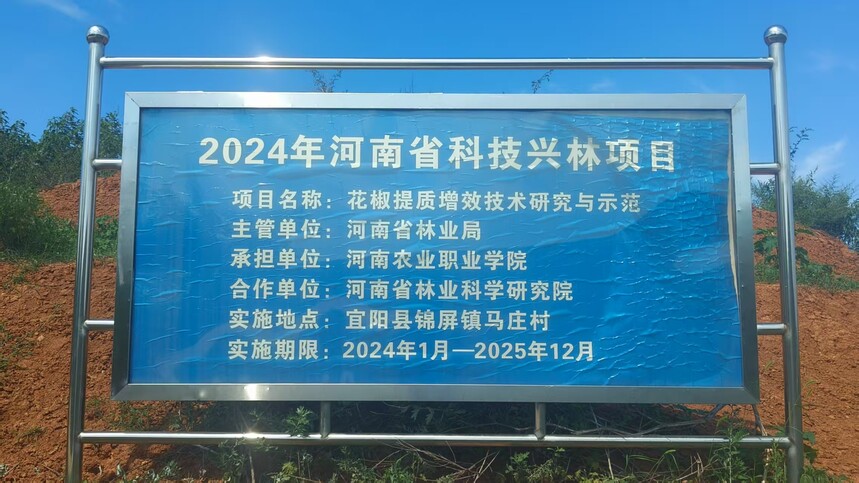 1757551525668894.jpg f4b707c072395cc5e65d59219f548509.jpg