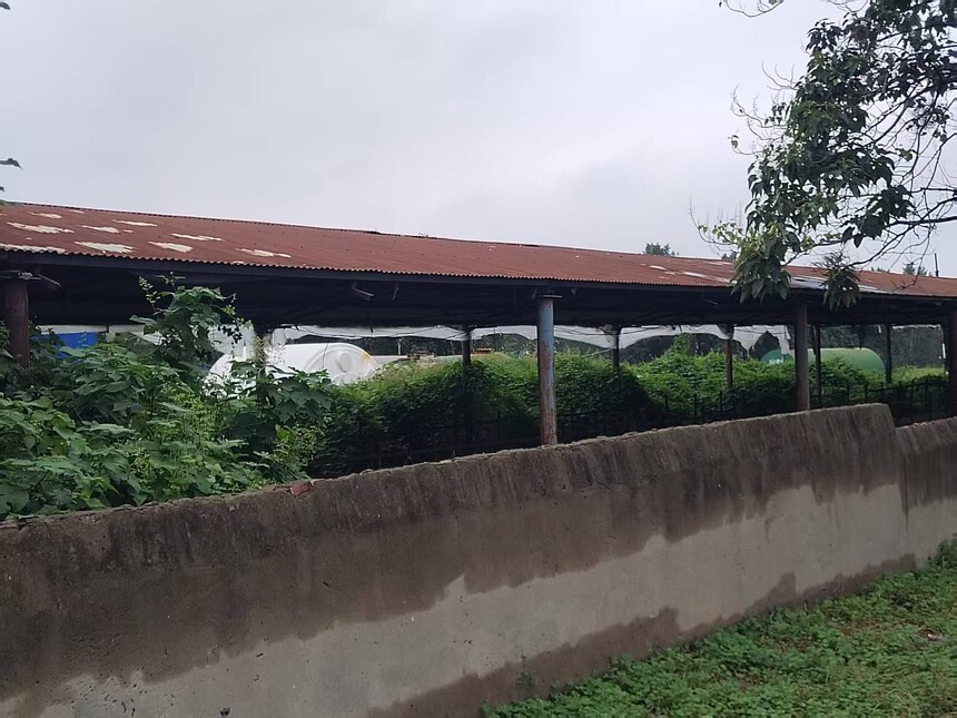 1757659971669747.jpg 587a81d6fdc16730b4ad7743dcb3295b.jpg