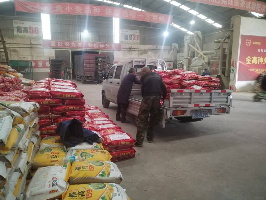 1762389582258629.jpg 169a1f8c3ce4cabe392eb9c883d0f66e.jpg