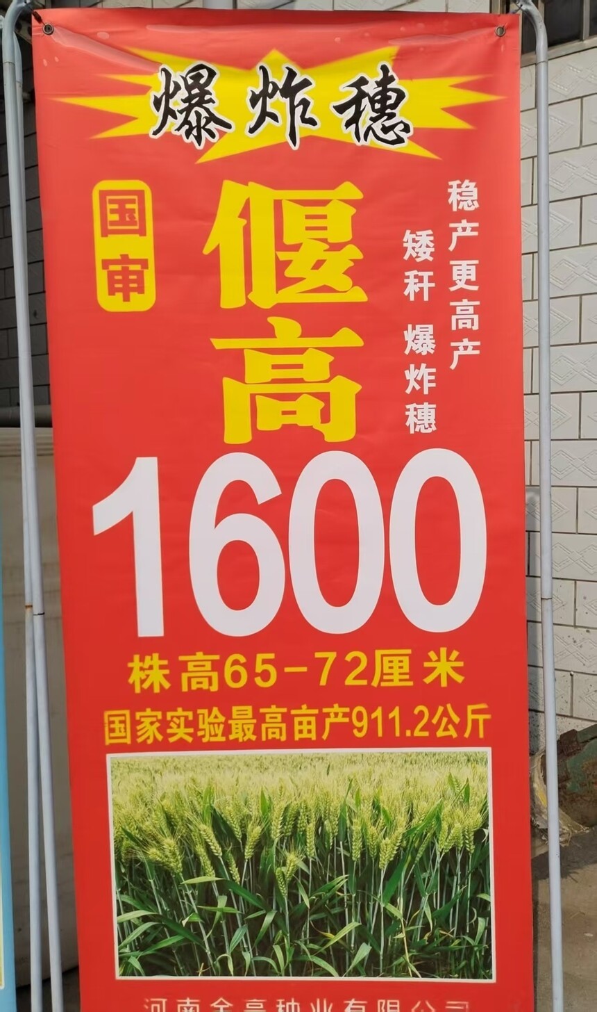 1762390438756237.jpg 570b9a8b891fa2e4fe504196da170aa5.jpg