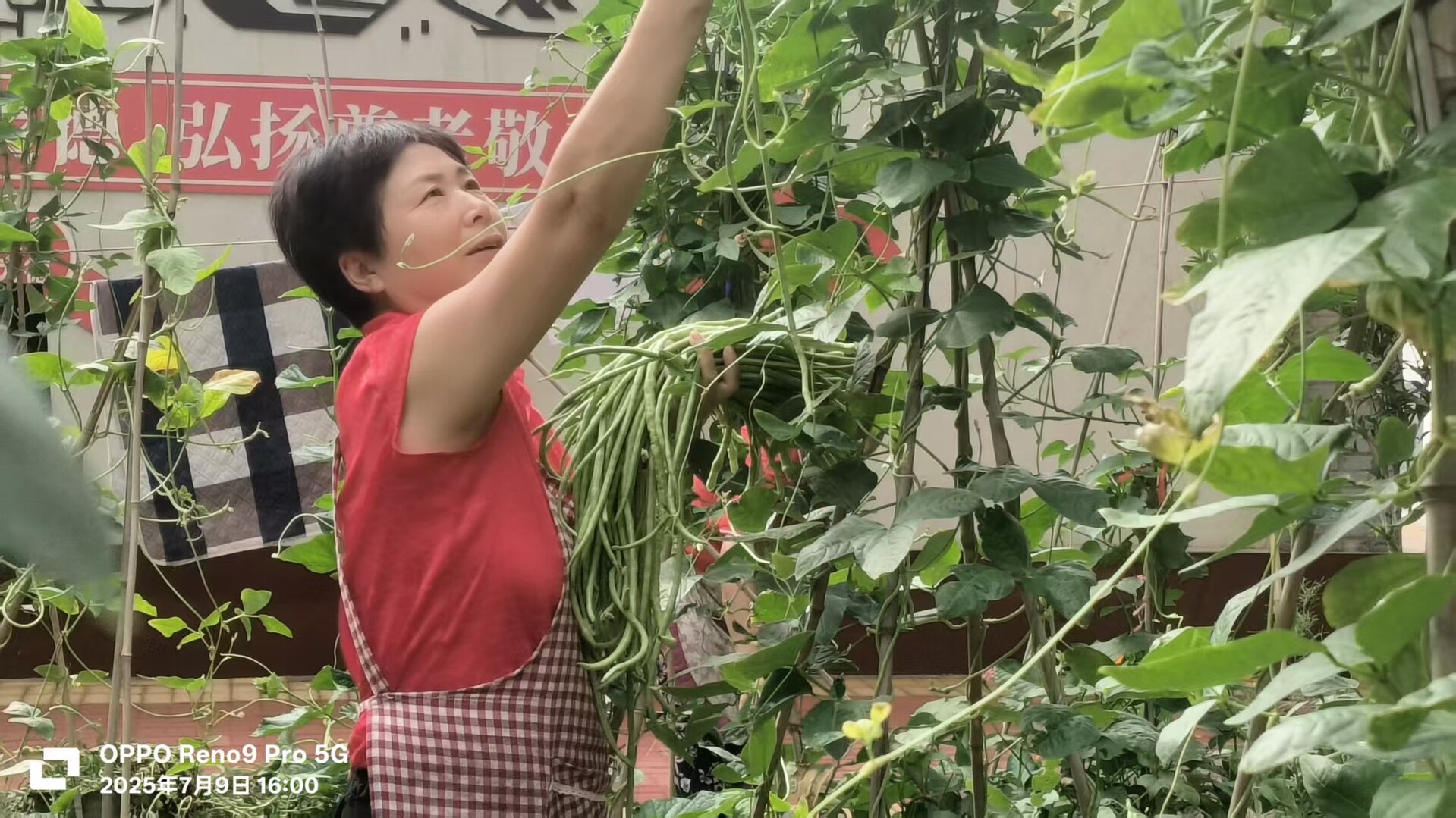 1762772884977496.jpg 1762772884977496.jpg