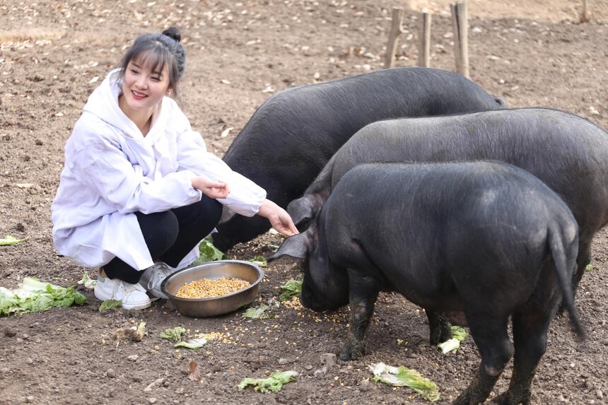 1764290844599740.jpg 0.jpg