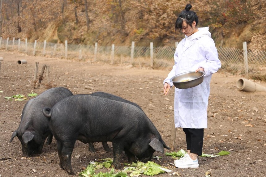 1764291009627076.jpg 3.jpg