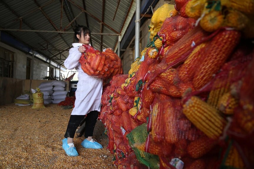 1764291045290775.jpg 4.jpg