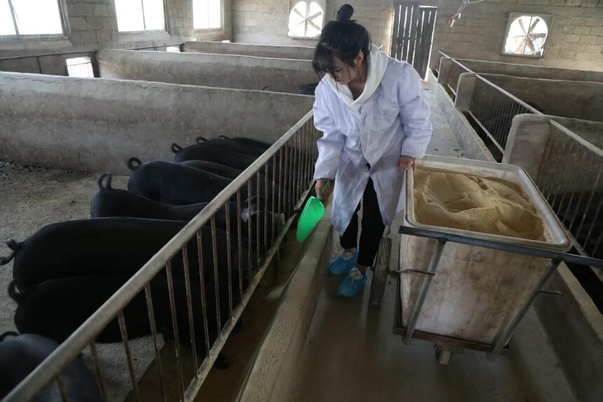 1764291087942945.jpg 6.jpg