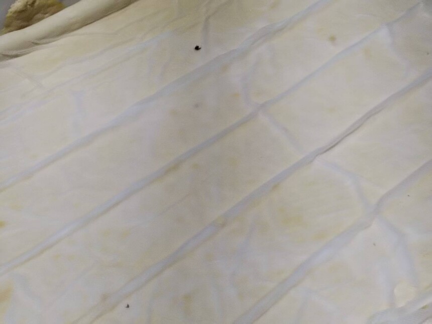 1777969904323353.jpg