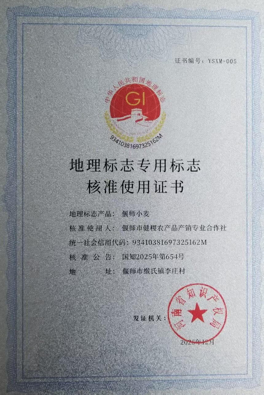 1780447901798304.jpg