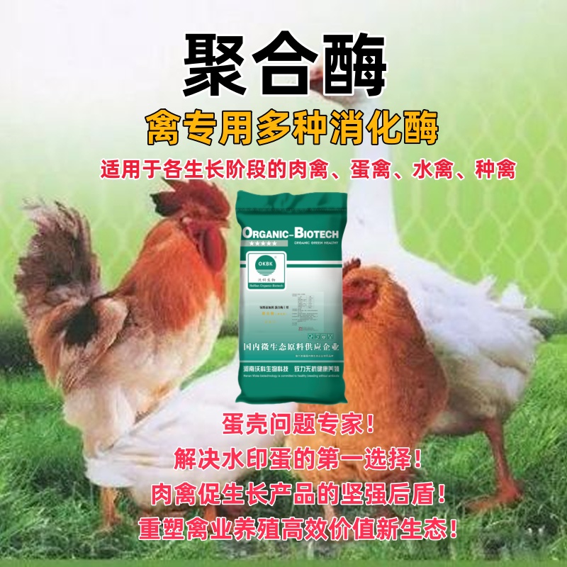 δ��(bi��o)�}6_����.jpg