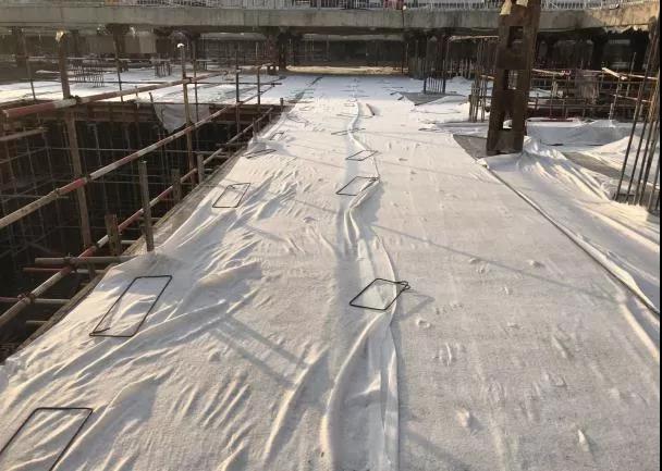 1631602539372305.jpg 32.jpg