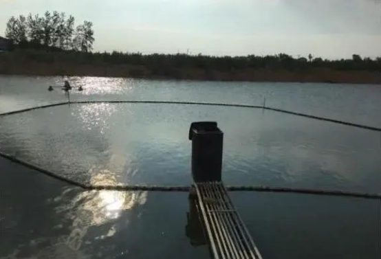 1650250138166957.png image.png