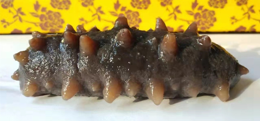 1633850053560018.jpg 長島海參1.jpg