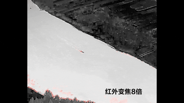1729760065634571.gif 640.gif