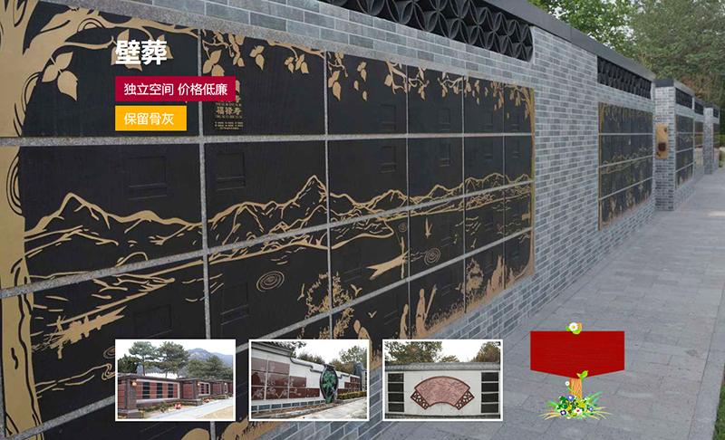 -޵绰800.png